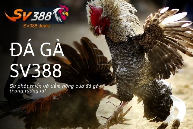 Đá gà SV388 đứng đầu sân chơi cho Bet thủ 2026 Sự phát triển và tiềm năng của đá gà trong tương lai