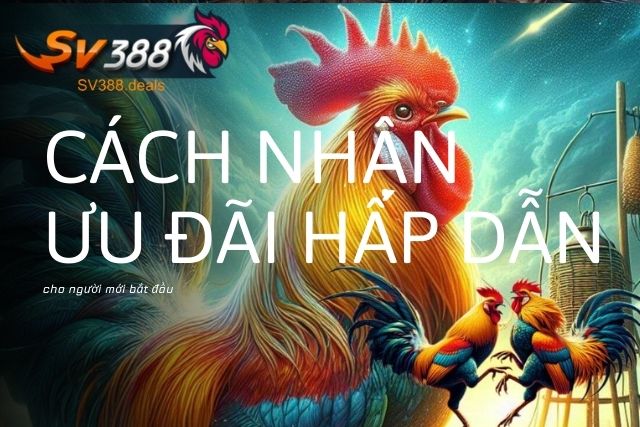 Cơ Hội Săn Khuyến Mãi SV388 Độc Quyền Hấp Dẫn Nhất Năm 2026 Cách nhận ưu đãi hấp dẫn cho người mới bắt đầu