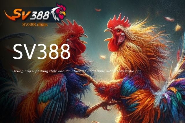 3 Cách Liên Hệ SV388 Cơ Bản Chi Tiết Dành Cho Người Mới SV388 cung cấp 3 phương thức liên lạc chính để nhận được sự hỗ trợ từ nhà cái