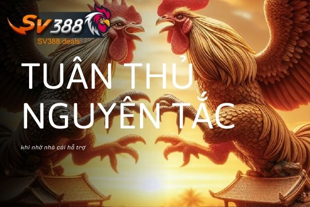 3 Cách Liên Hệ SV388 Cơ Bản Chi Tiết Dành Cho Người Mới Tuân thủ nguyên tắc khi nhờ nhà cái hỗ trợ