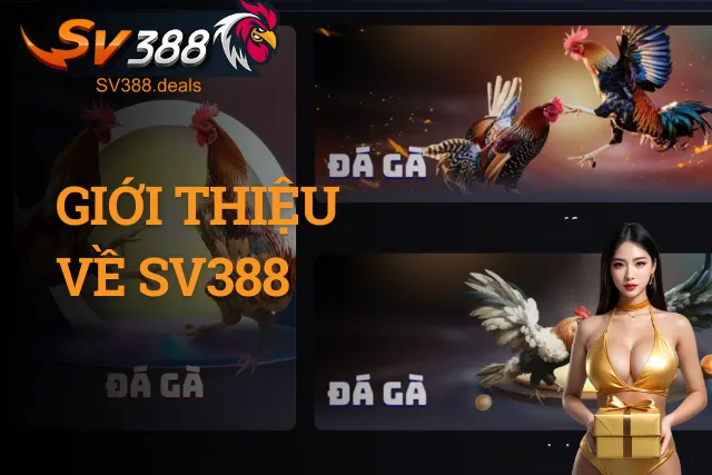SV388 - Nhà Cái Đá Gà SV388.COM | Link Vào Mobile & PC 2026 Tổng quan thương hiệu cá cược trực tuyến SV388